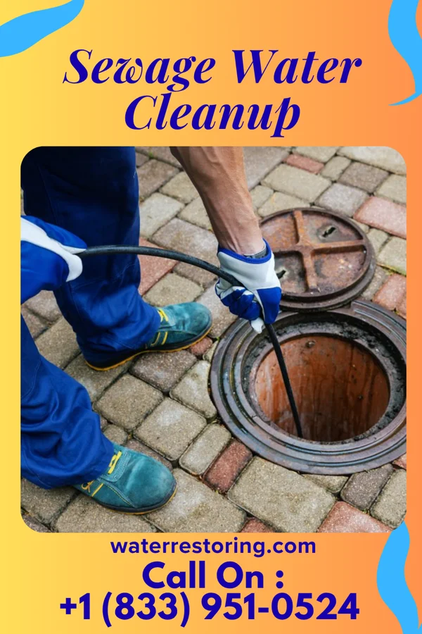 Sewage Water Cleanup in Oberon, ND